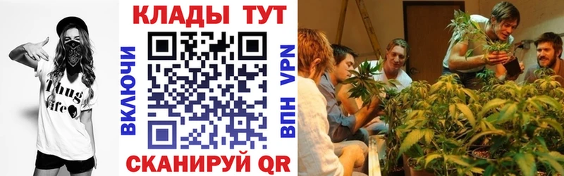 Где продают наркотики Клин ГАШ  Кокаин  Alpha-PVP  МЕФ 