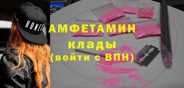 ECSTASY Алзамай