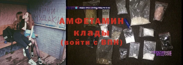 ECSTASY Алзамай