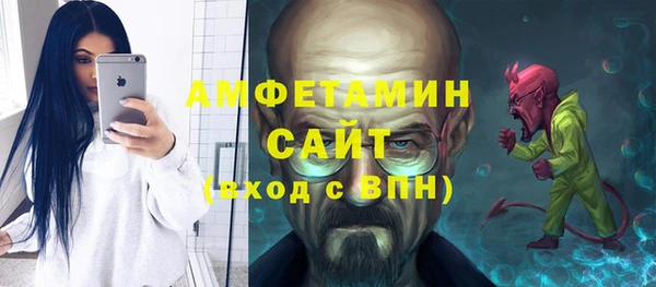 ECSTASY Алзамай